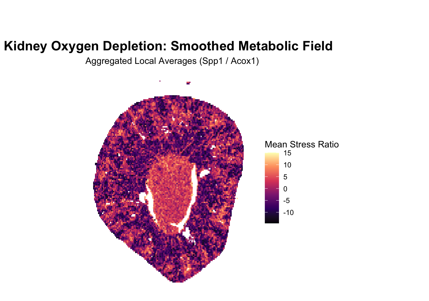 Kidney Oxygen Depletion Visualization