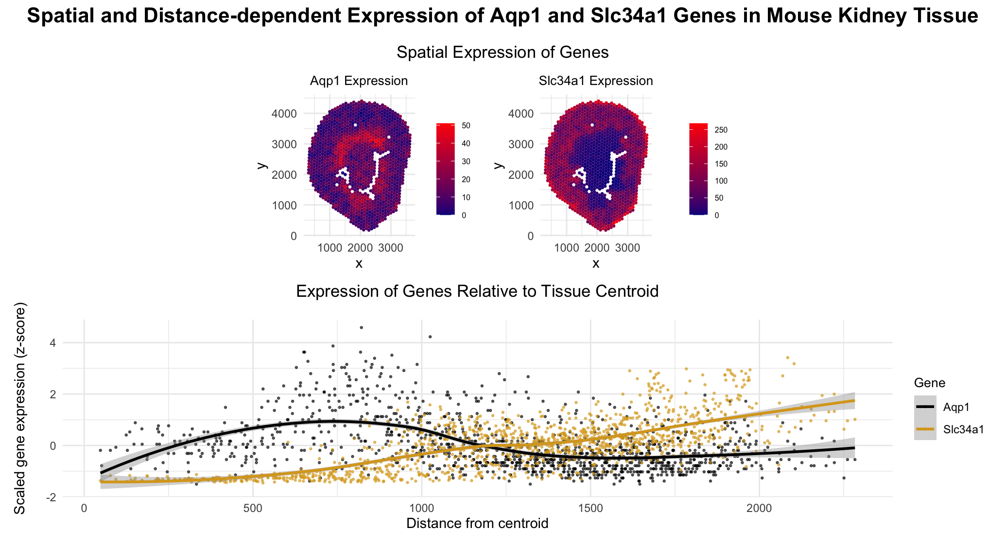 A data visualization for sequencing spatial transcriptomics data
