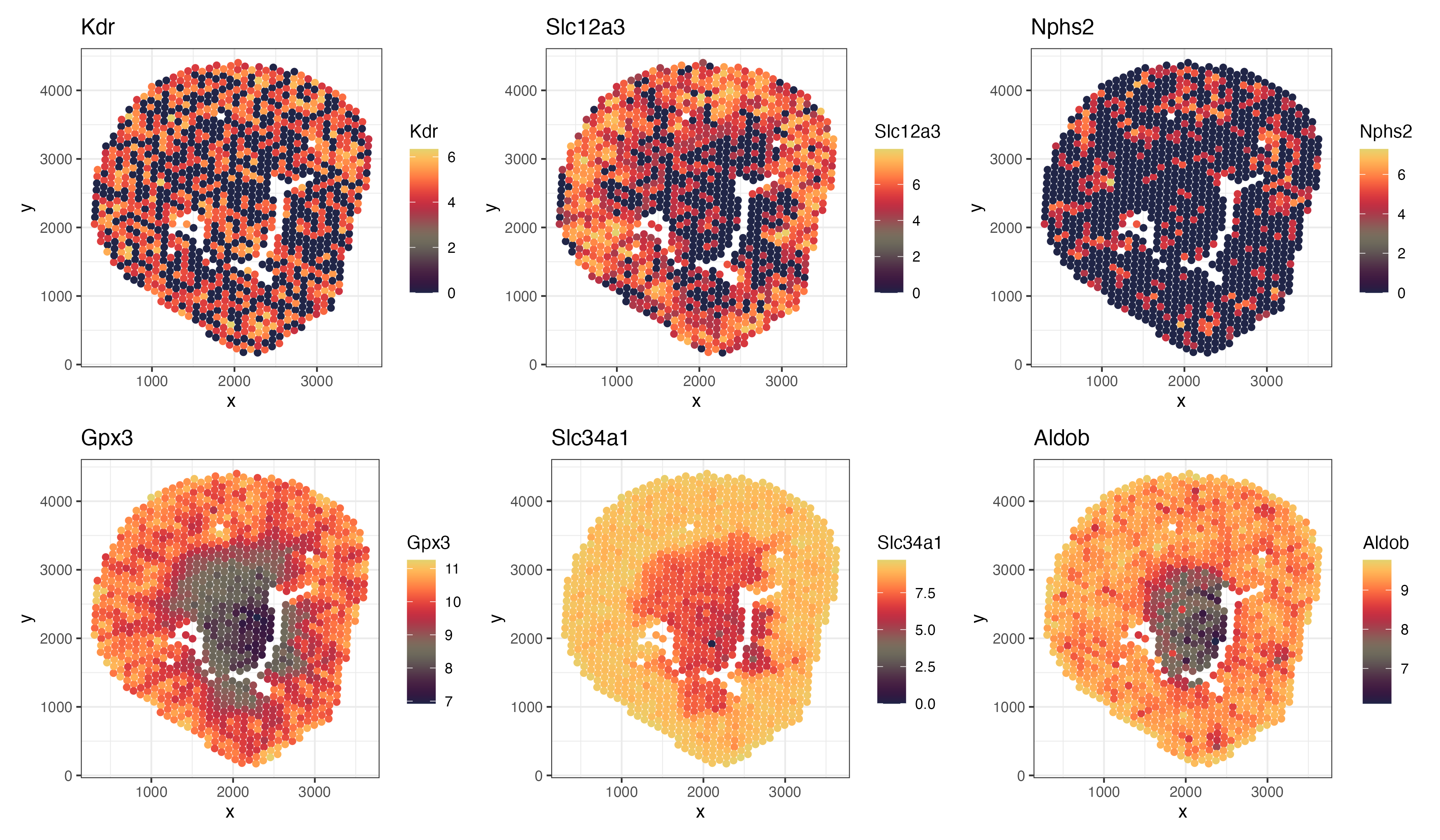 Visualizing canonical markers and spatially variable genes in Visium data