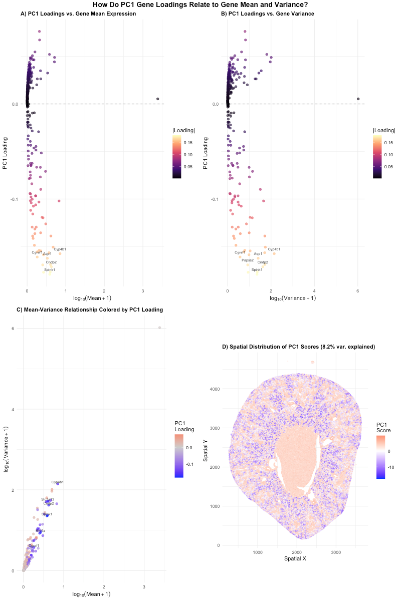 HW 2 How Gene Loadings on the First PC Relates to Mean and Variance