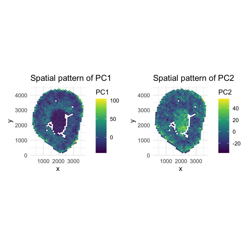 Visualizing Spatial Gene Expression with PCA and tSNE