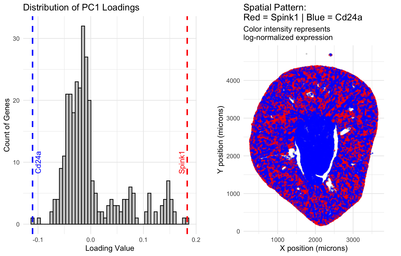 Kidney PCA vs Loading Size Analysis(Prompt 2)