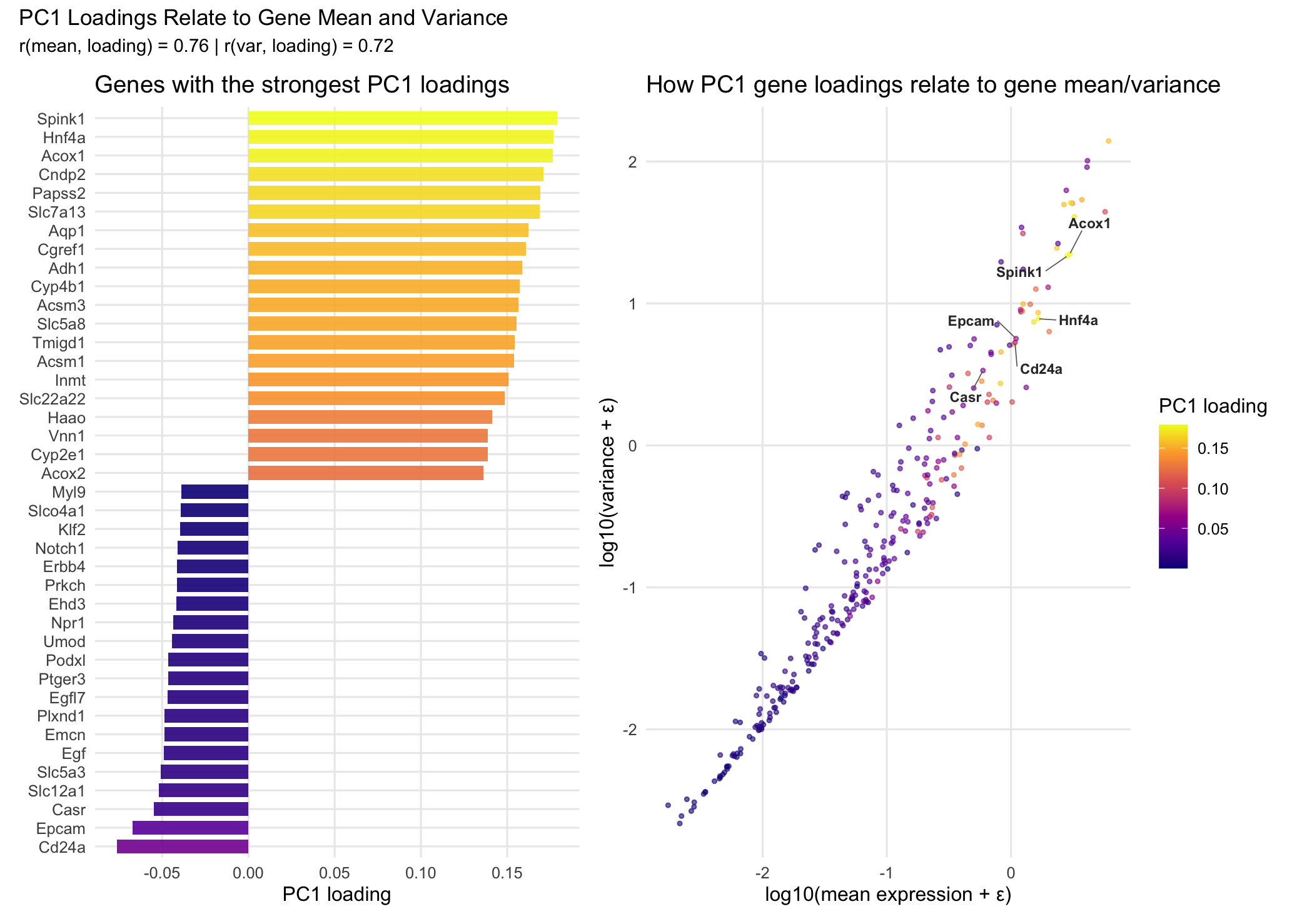 How PC1 Gene Loadings Relate to Gene Mean Expression and Variance