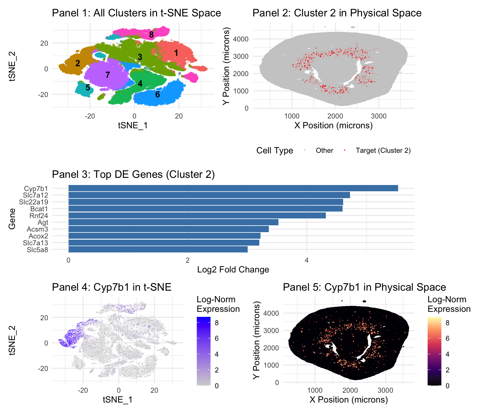 Xenium t-SNE and Cyp7b1
