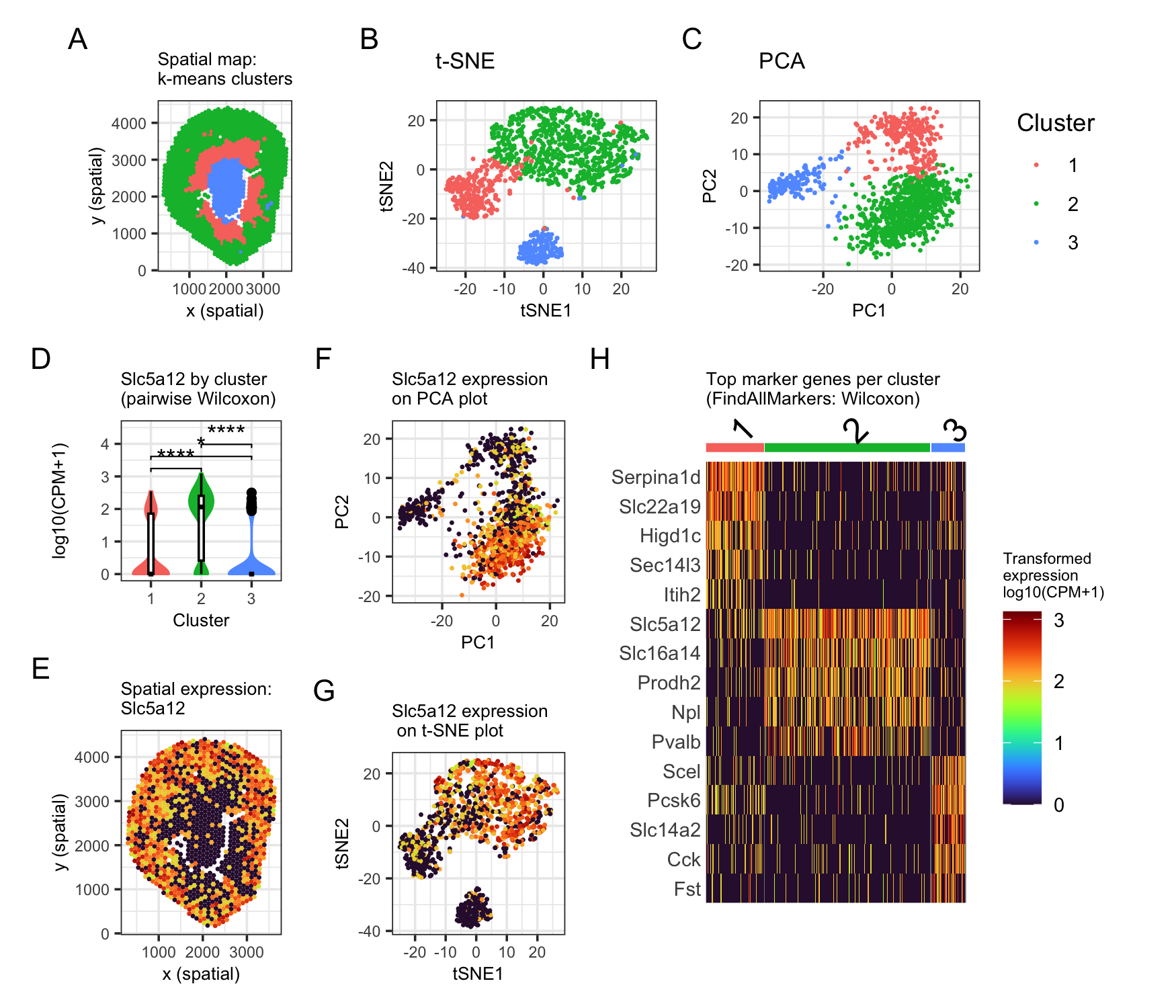 Identifying a kidney cortical tubule region using marker genes