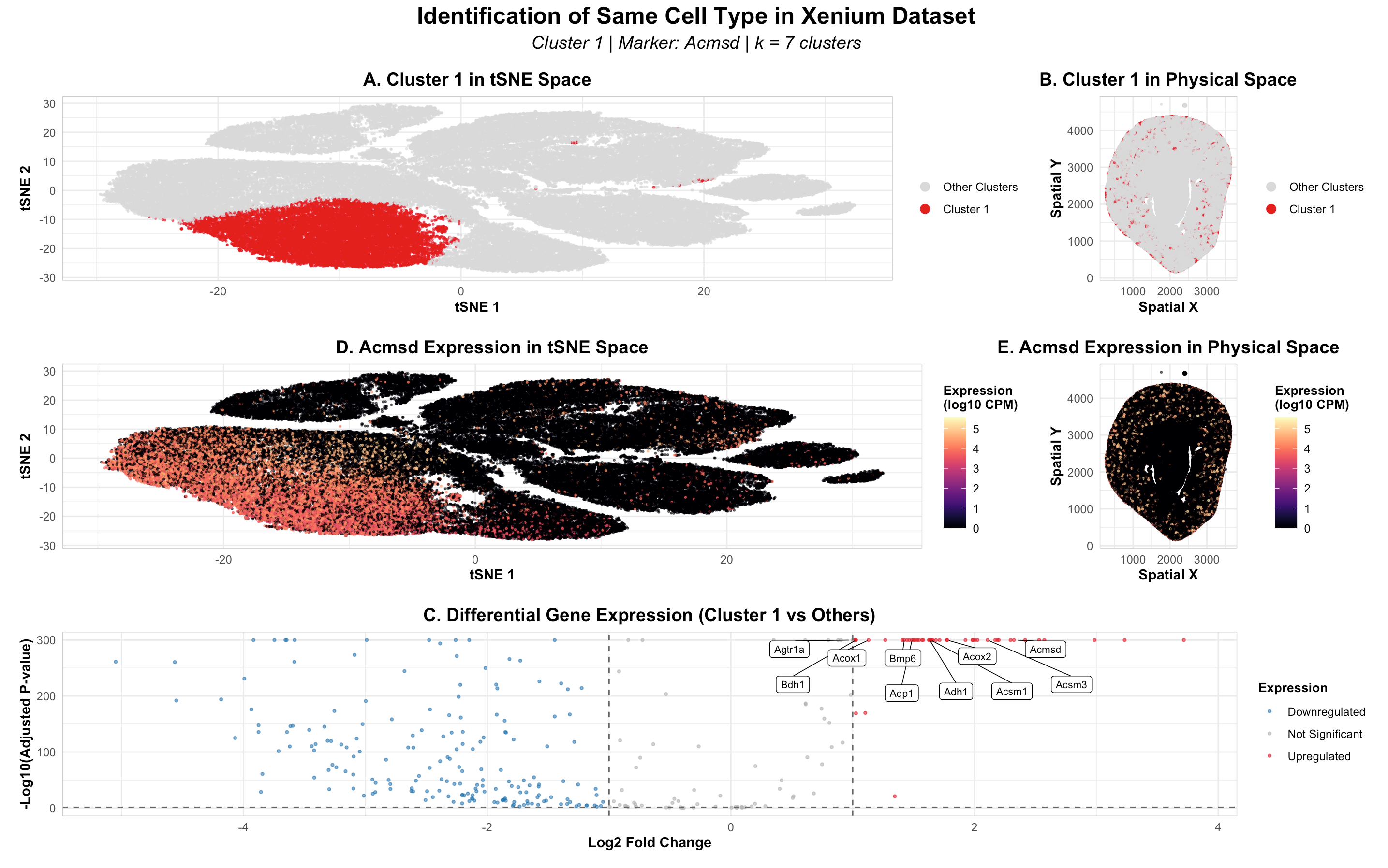 Adapting Cell Type Characterization from Visium Dataset to Xenium Dataset