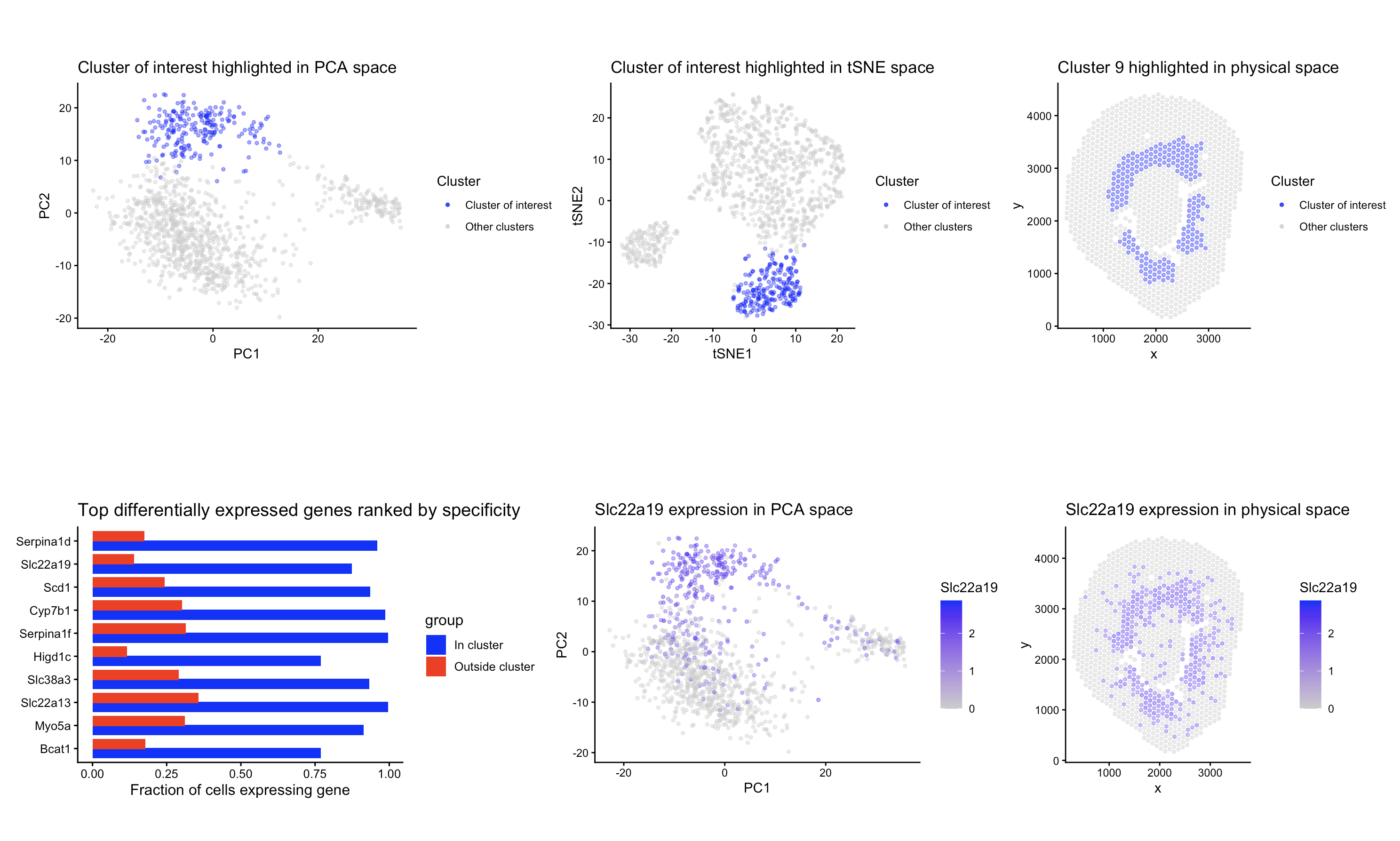 Identifying a cluster of Proximal Tubule Epithelial Cells
