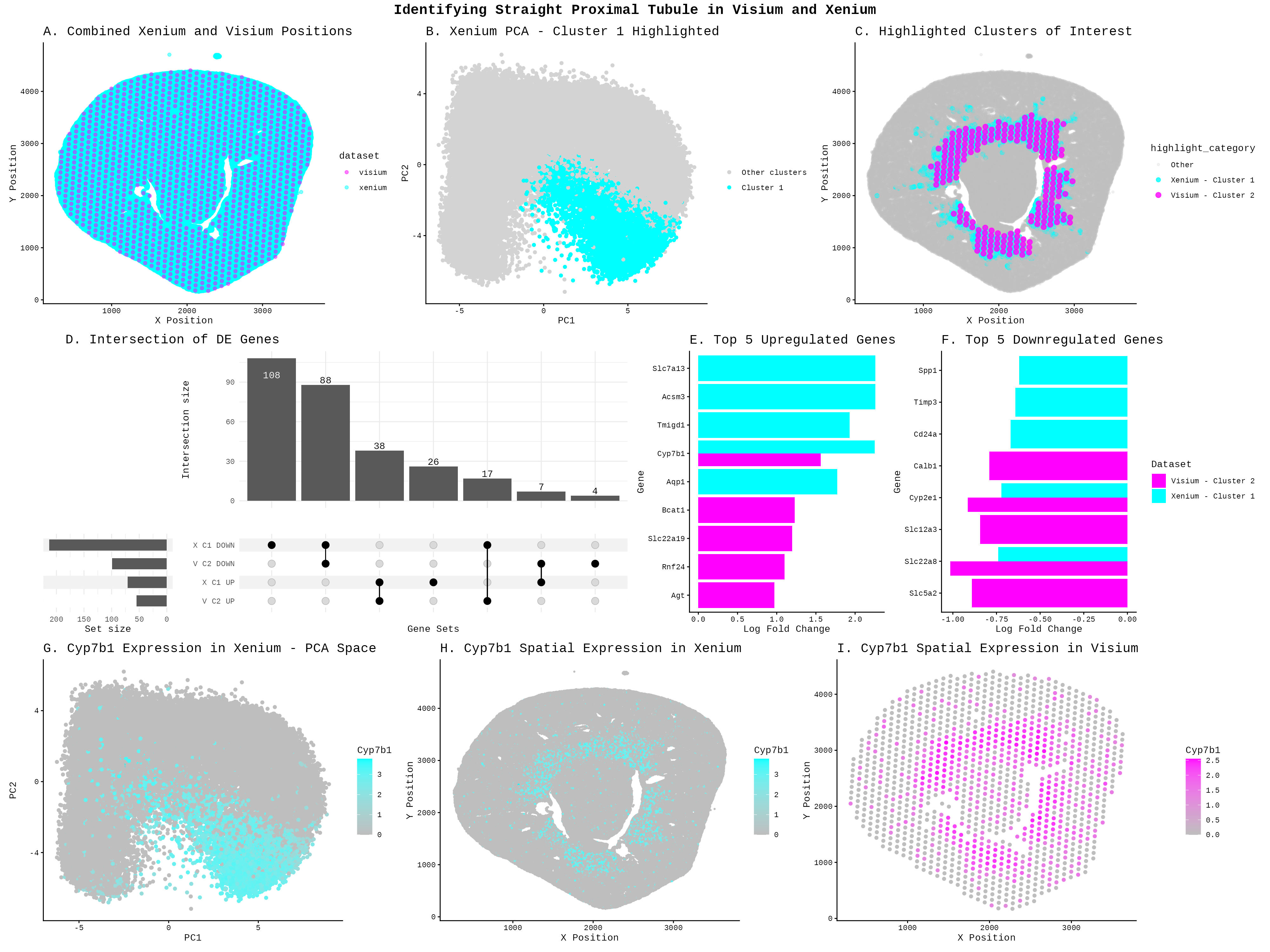 HW4: Identifying Straight Proximal Tubule in Visium and Xenium Datasets