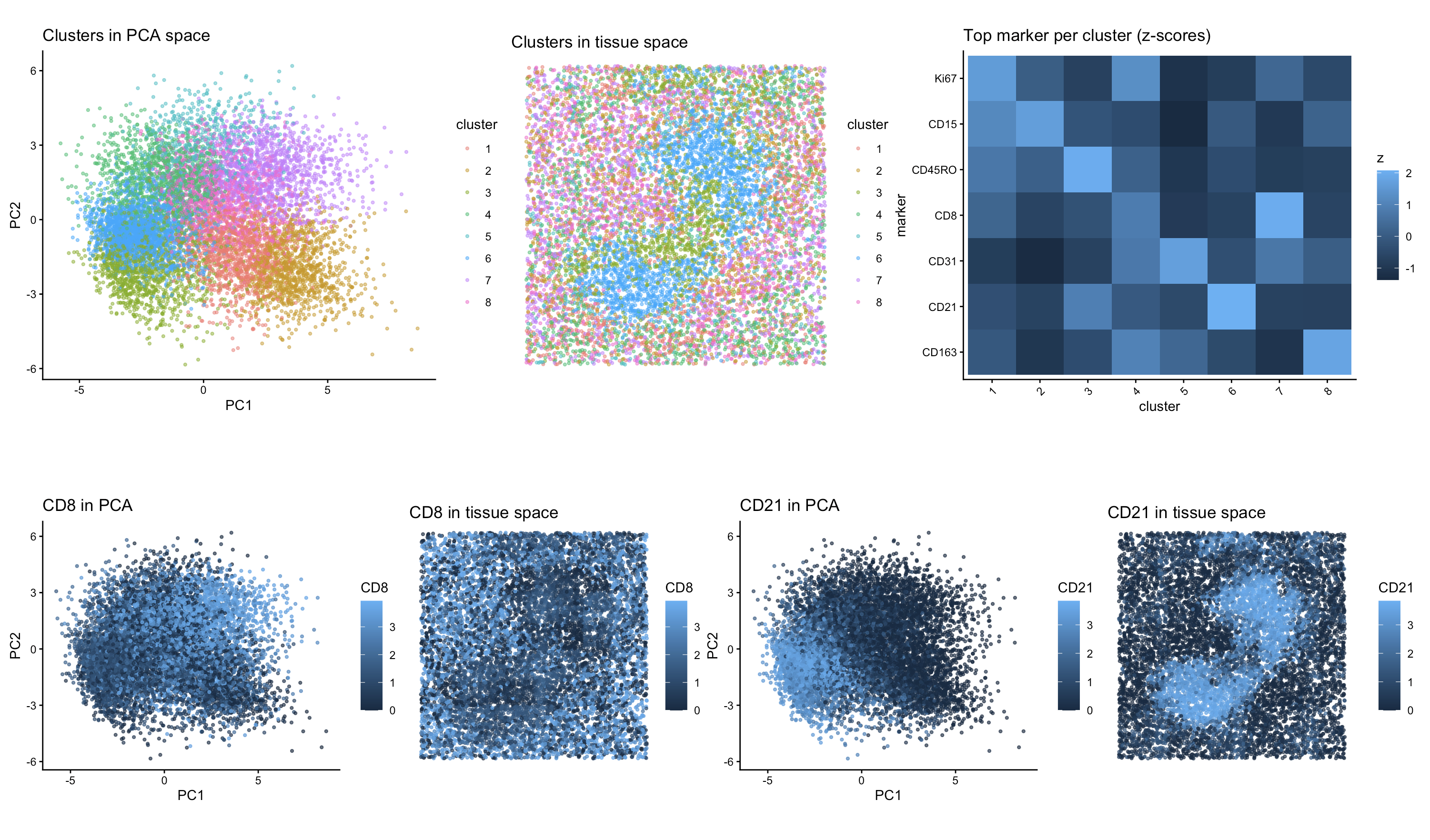 Identifying Tissue Type in Spleen