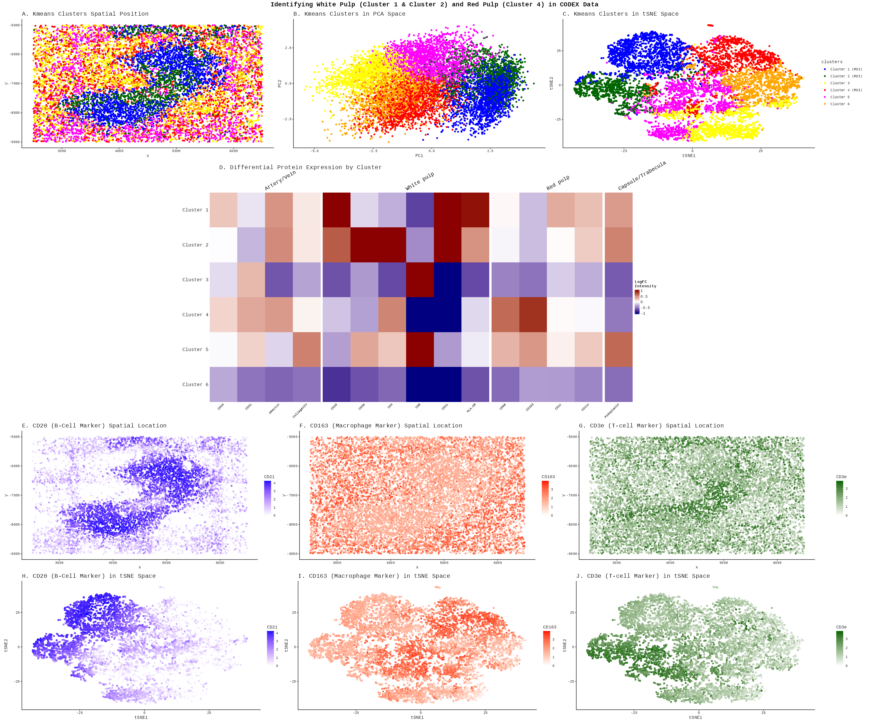 HW5: Identifying White Pulp and Red Pulp in CODEX Data