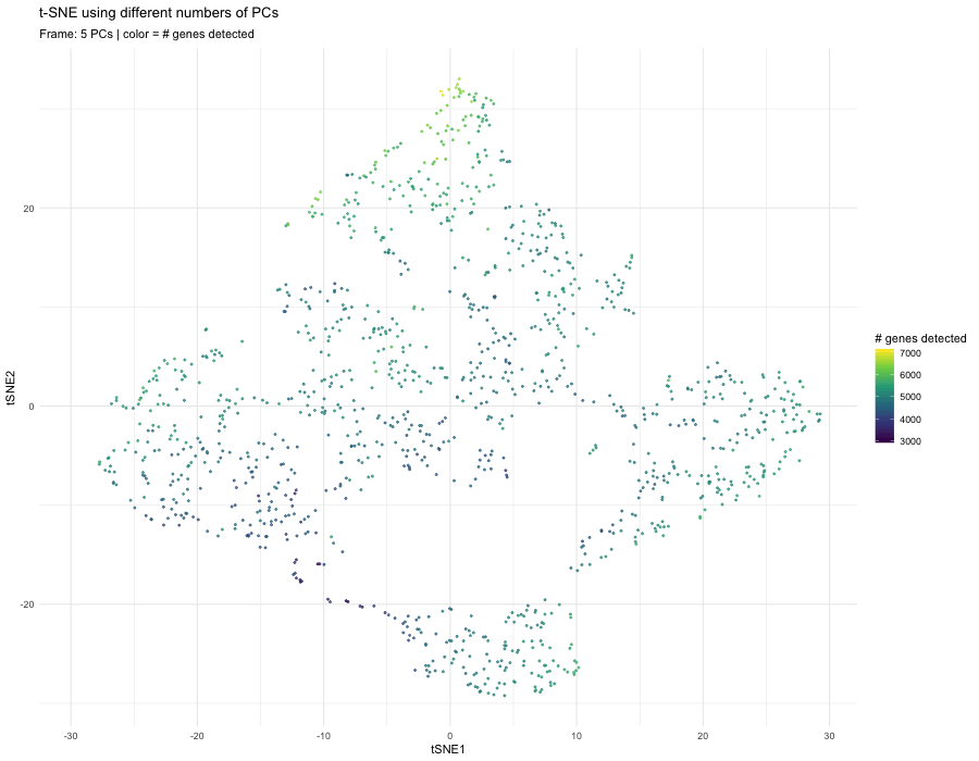 How the Number of PCs Influences t-SNE Embeddings in Visium Data