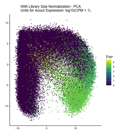 Animated Comparison of Normalized vs. Non-Normalized Acox2 Expression