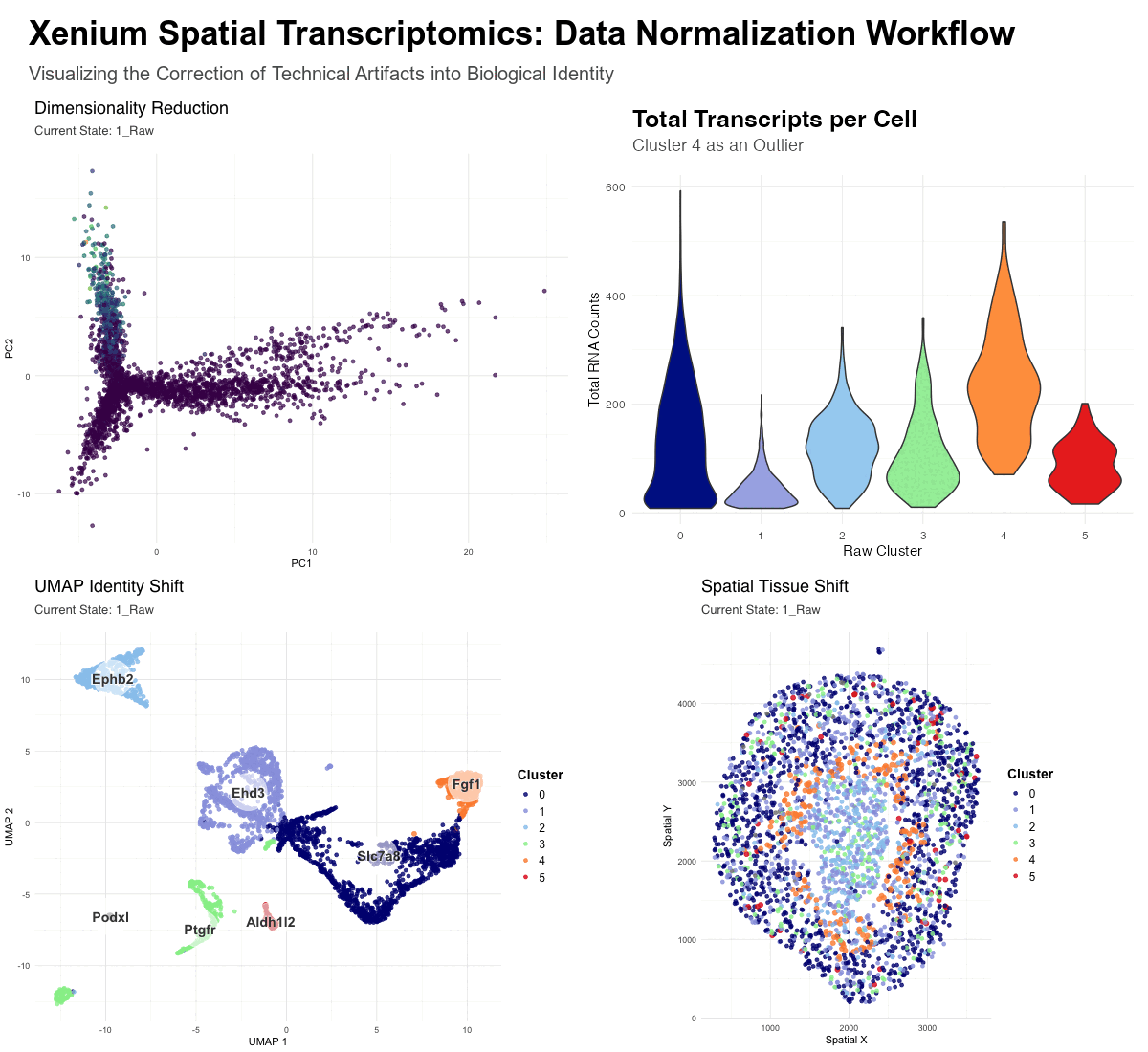 Xenium Spatial Transcriptomics: Data Normalization Workflow