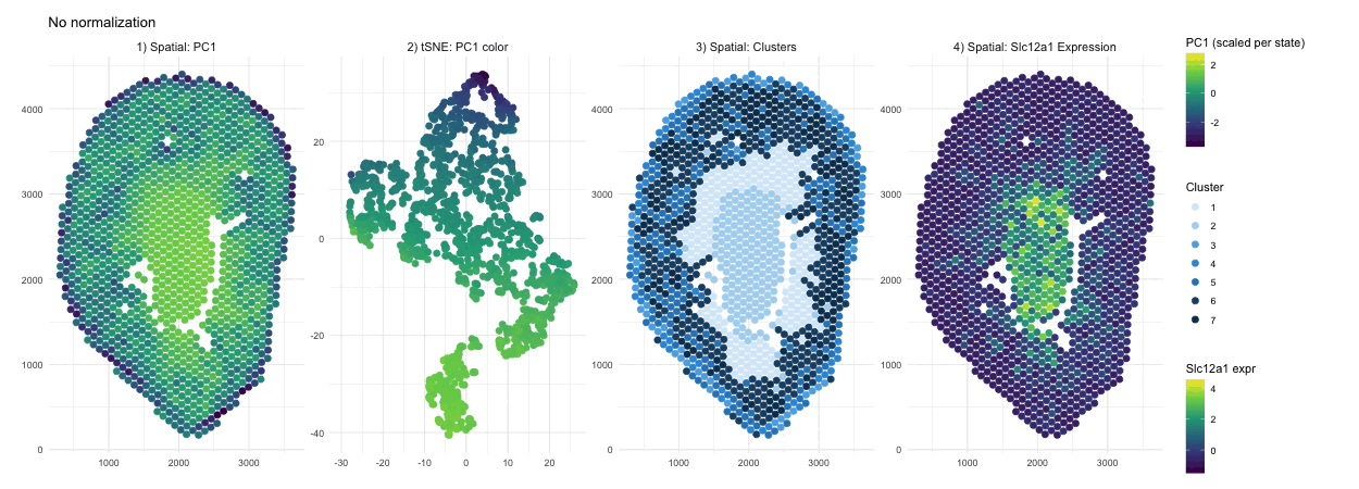 An Animation to View the Impact of Normalization on Gene Expression 