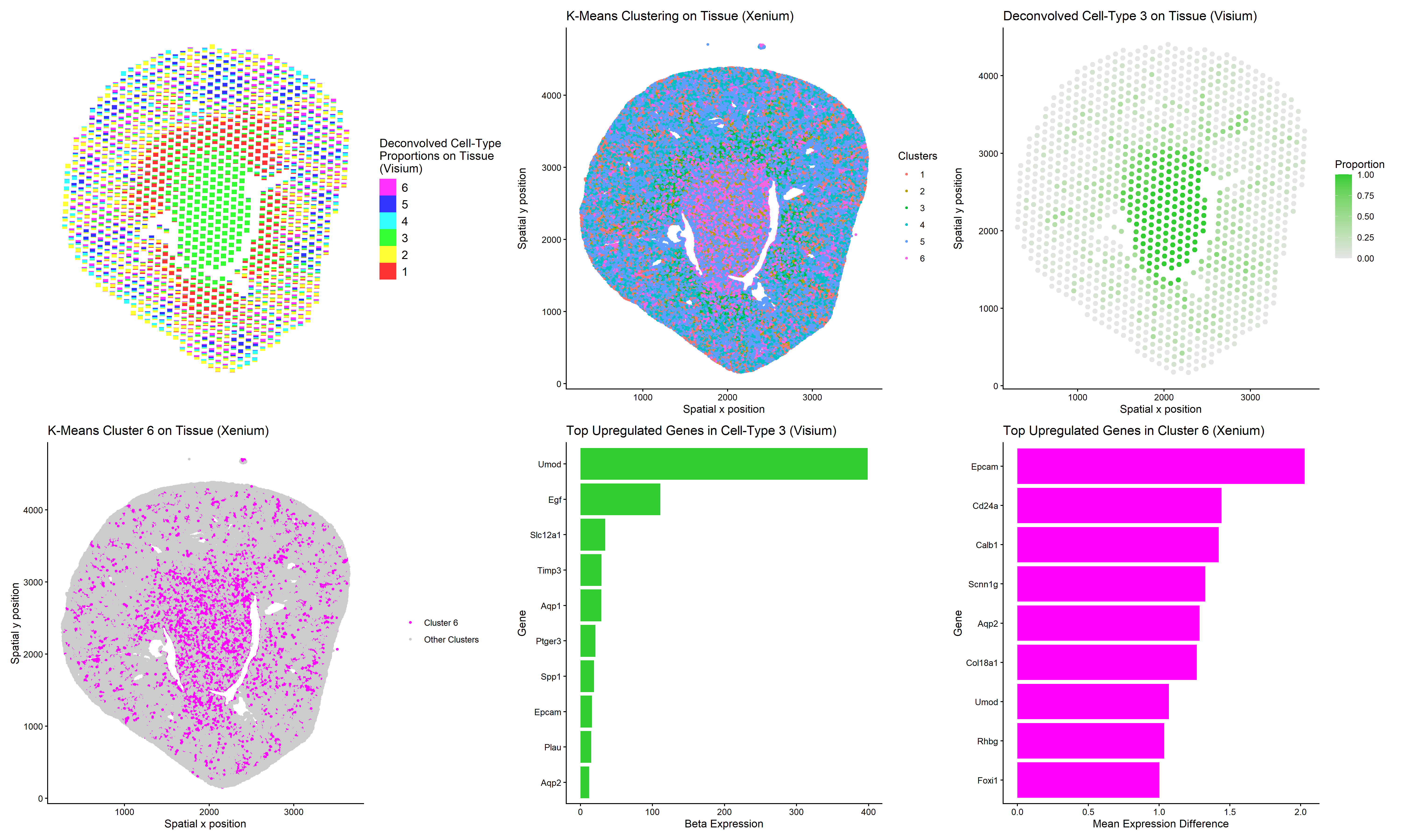 Using clustering and deconvolution to visualize cell types and upregulated genes in different data sets