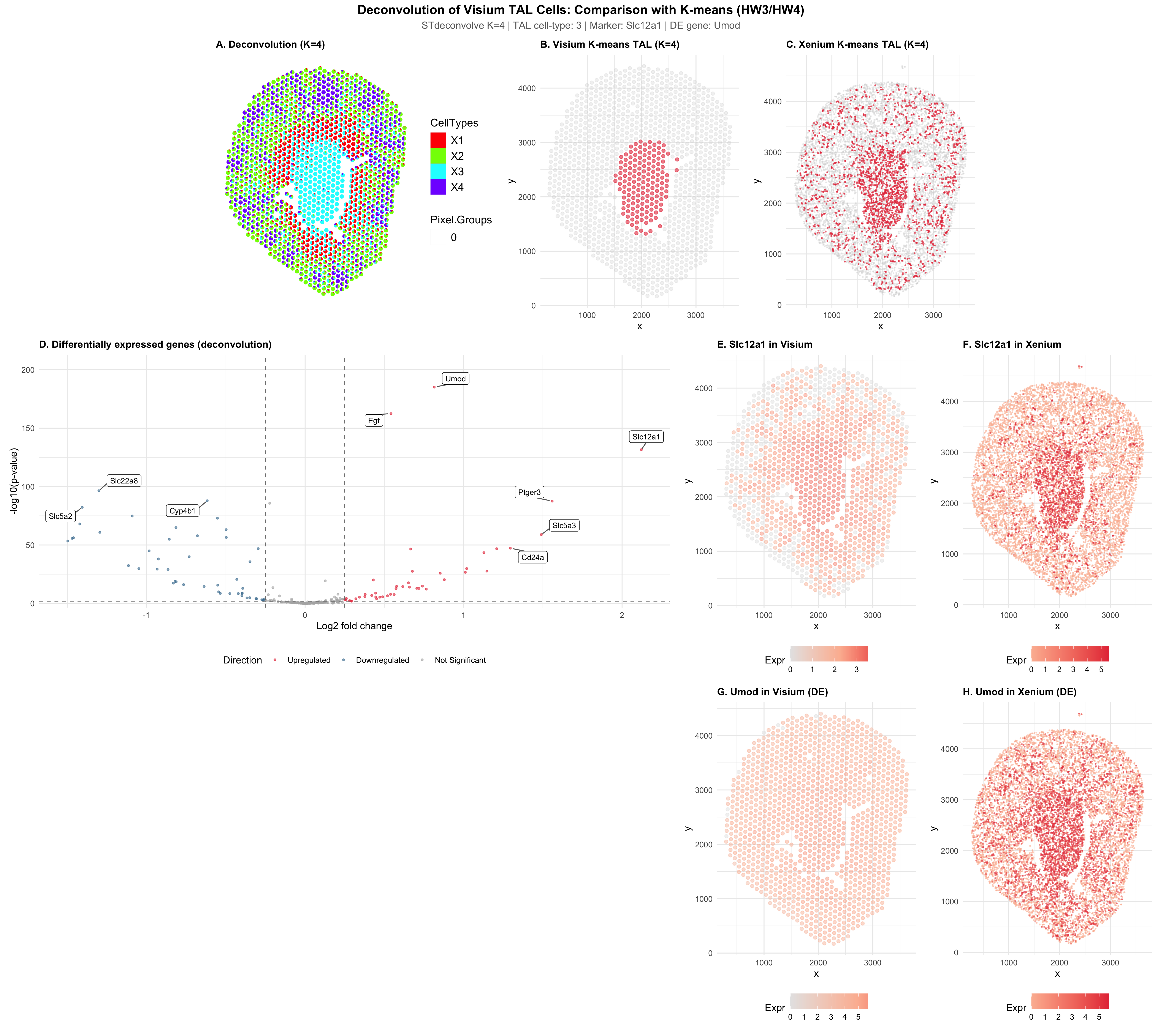 Identification of TAL cells using Deconvolution