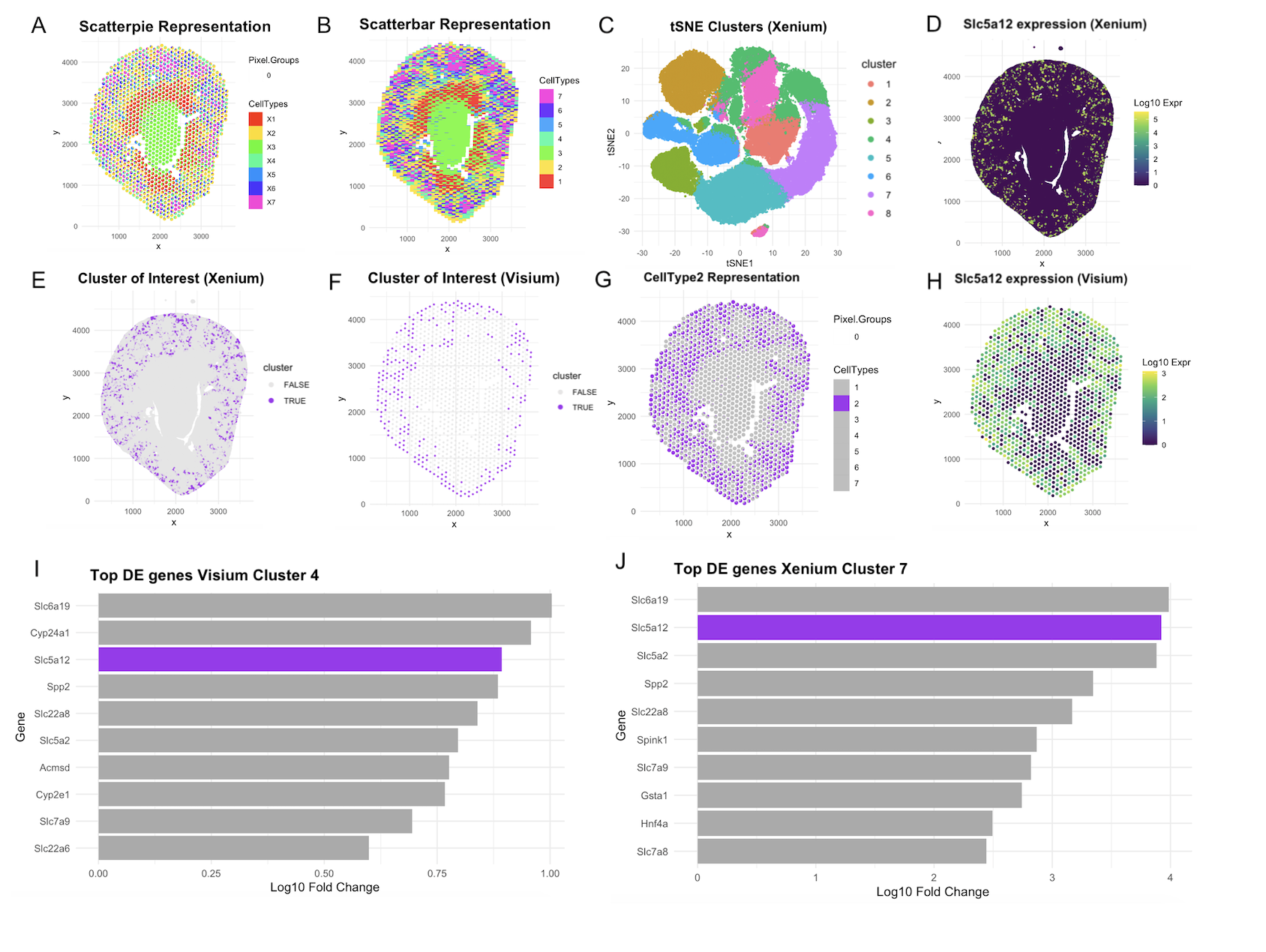 A deconvolution approach to identify Proximal Convoluted Tubule segments