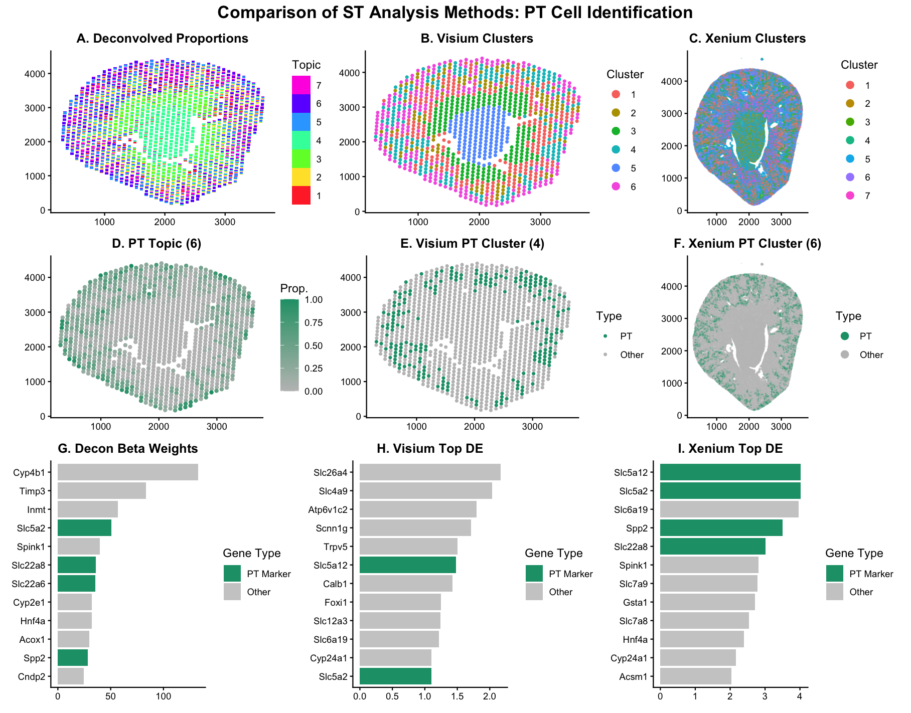 Cross-Platform Comparison of Spatial Transcriptomic Methods for Proximal Tubule Cell Detection