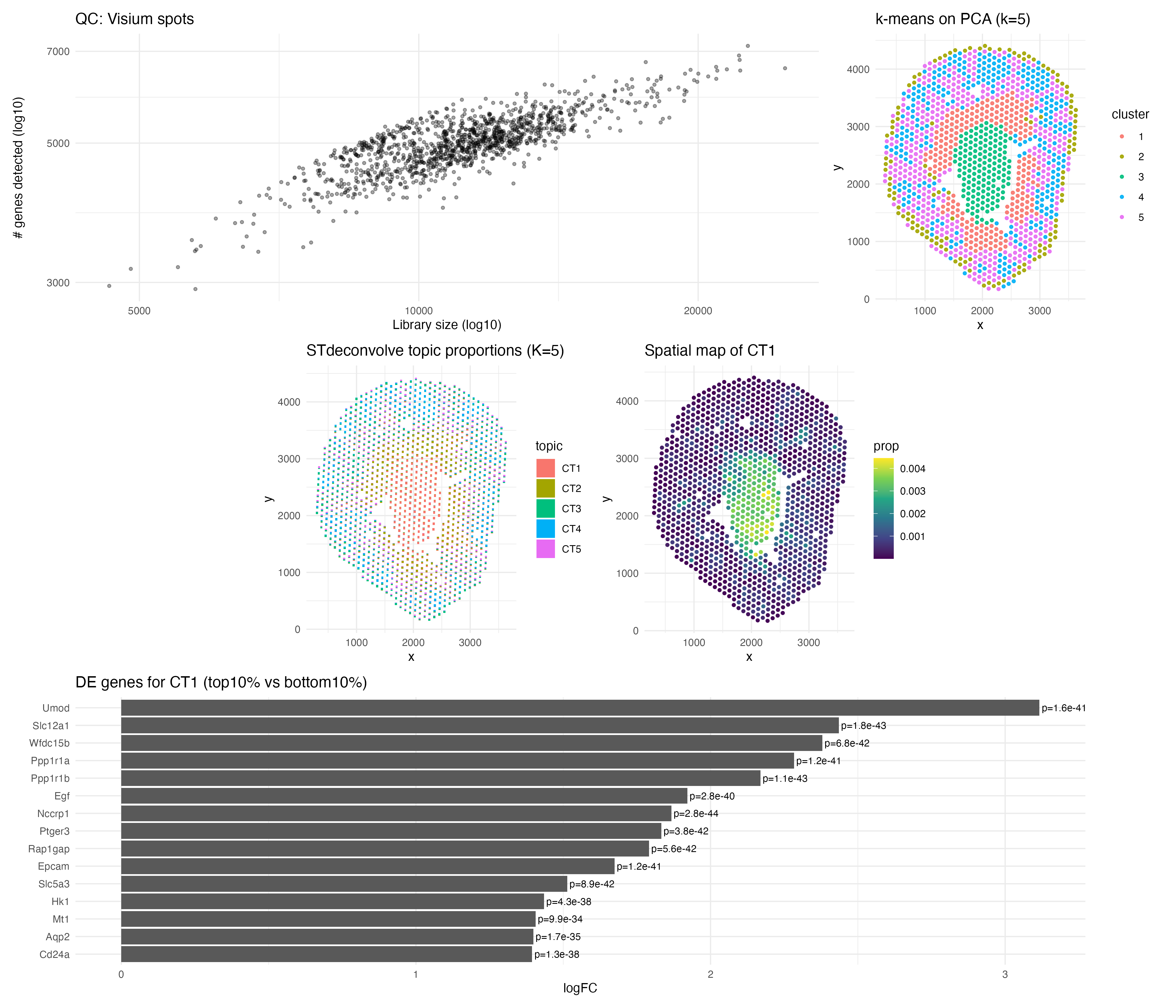 Cell-Type Deconvolution of Visium IRI Tissue Using STdeconvolve